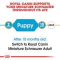ROYAL CANIN SCHNAUZER JUNIOR 1.5K XIRA TROFI SKuLOu